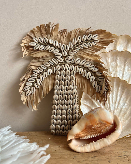 Palmier cauris - Modèle Malé