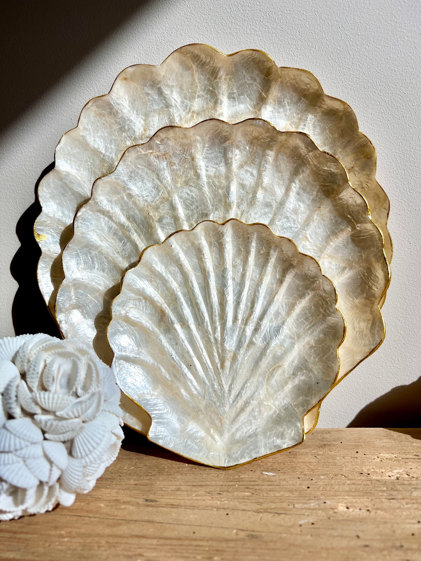 Plateau coquille Saint-Jacques en nacre de Capiz - Taille L