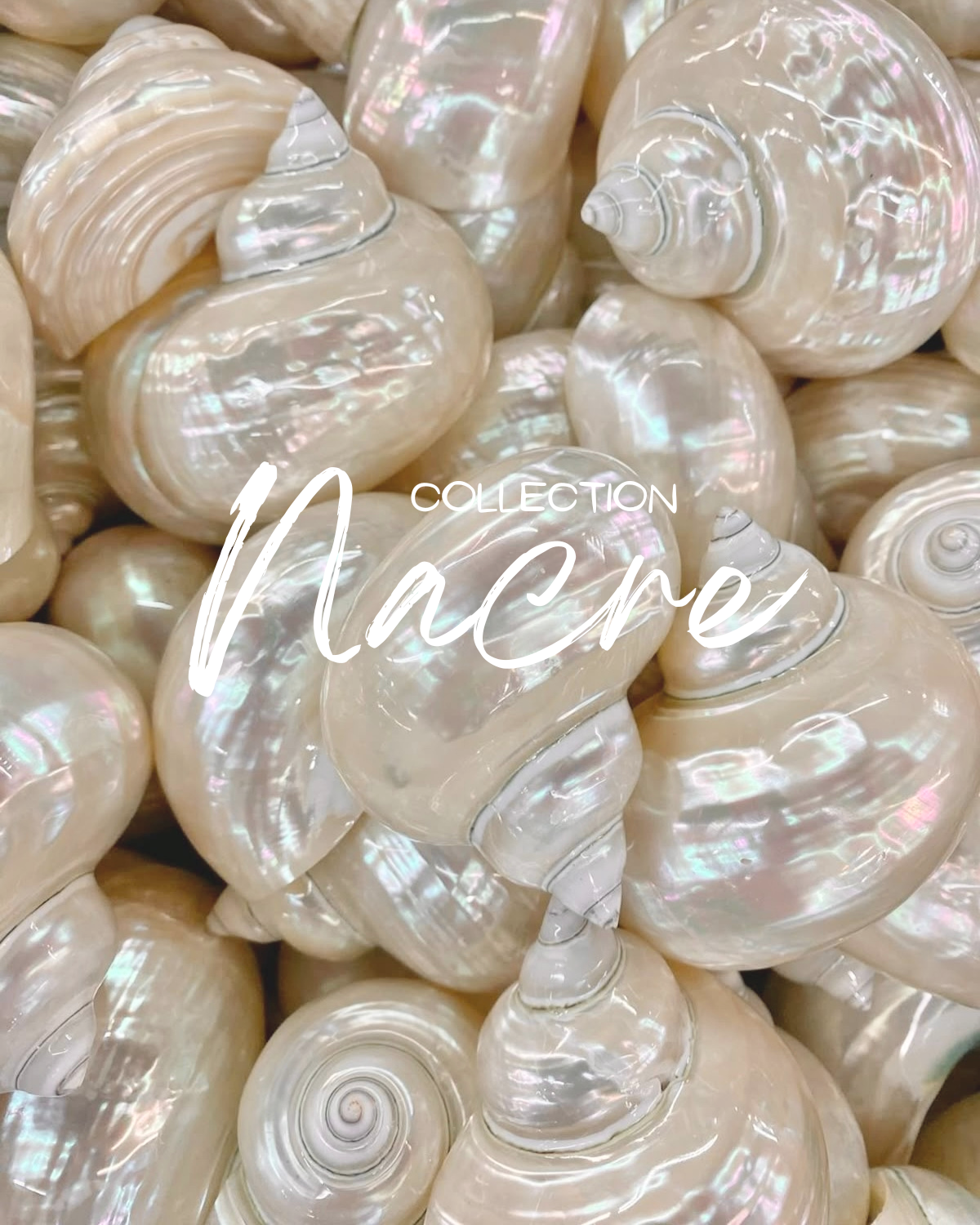 Collection Nacre
