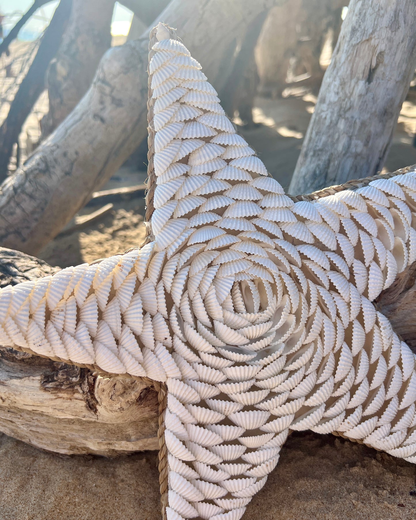 Étoile de mer en coquillages