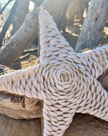 Étoile de mer en coquillages