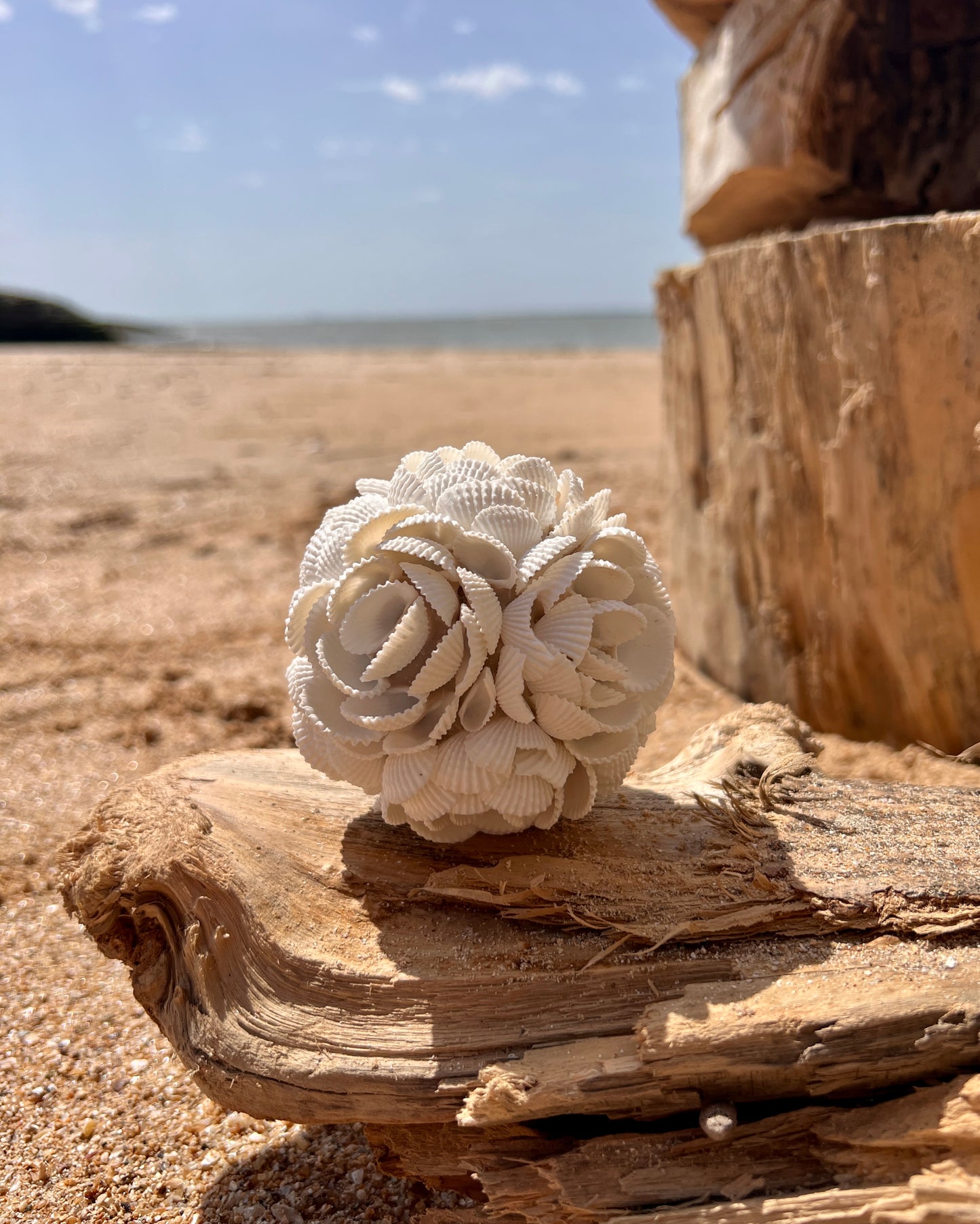 Boule en coques