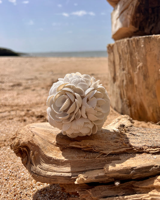 Boule en coques