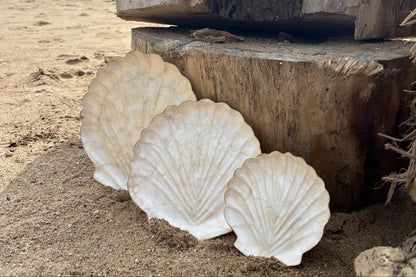 Plateau coquille Saint-Jacques en nacre de Capiz - Taille S