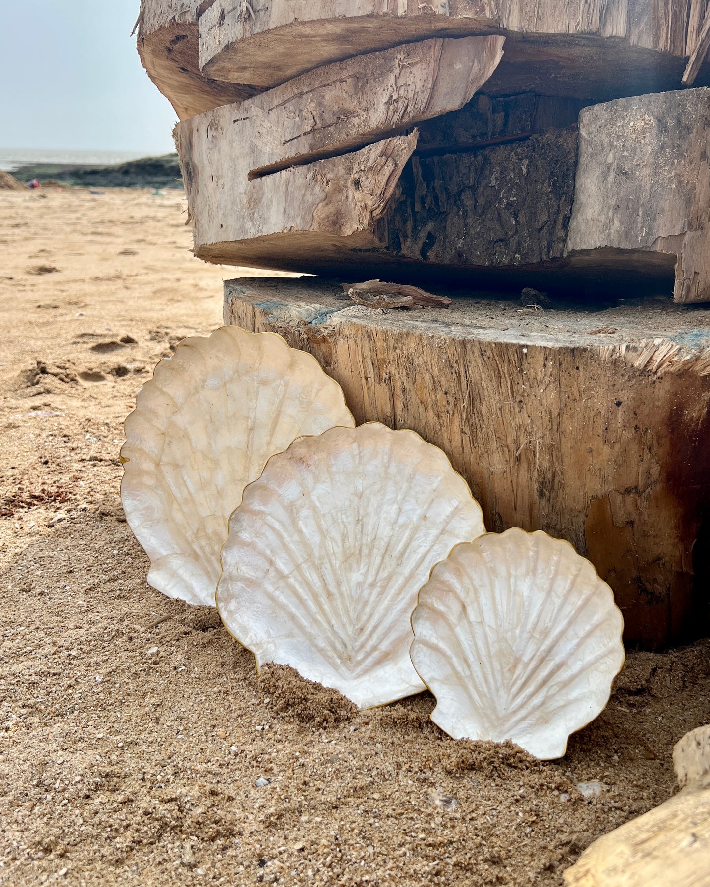 Plateau coquille Saint-Jacques en nacre de Capiz - Taille L