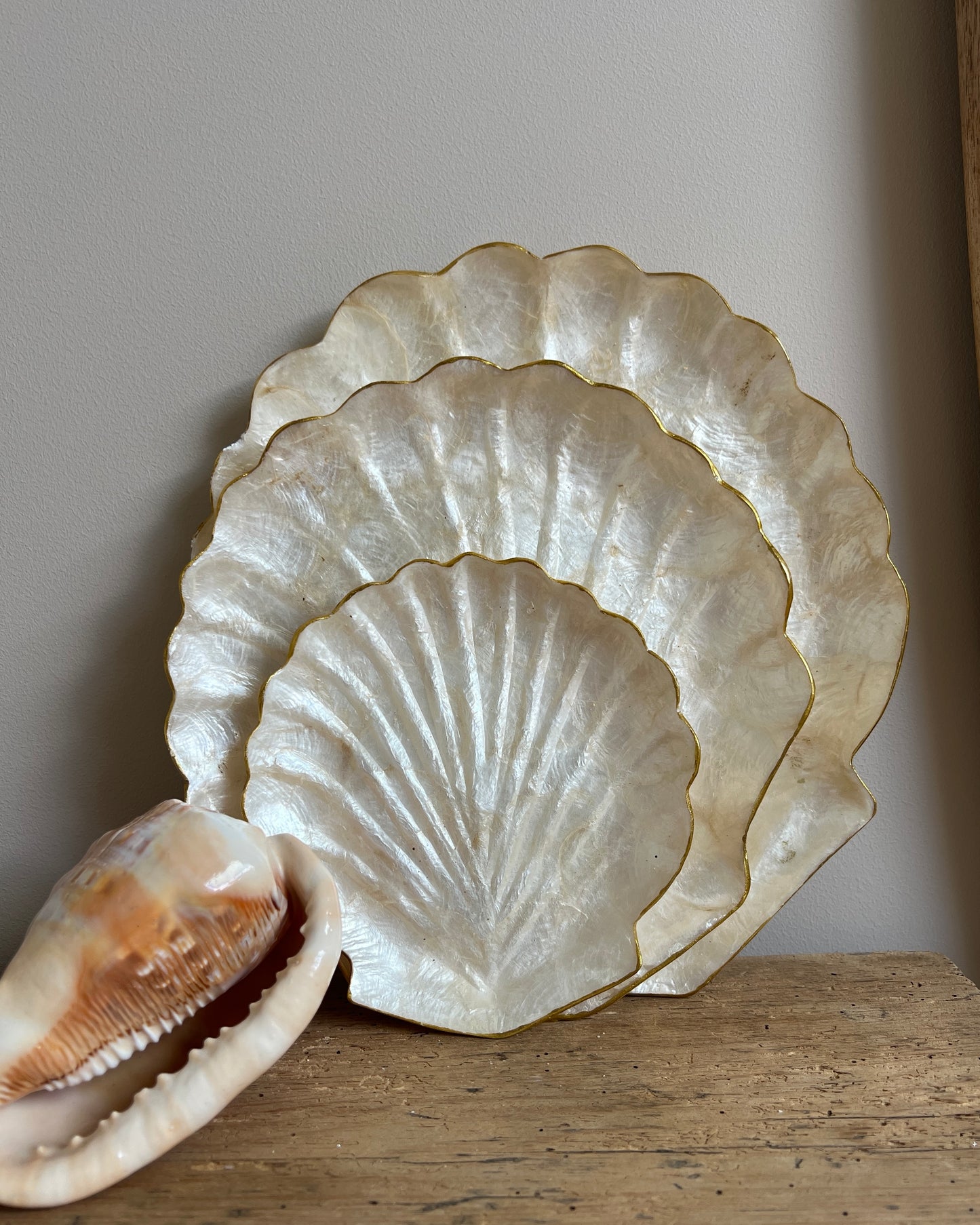 Plateau coquille Saint-Jacques en nacre de Capiz - Taille L