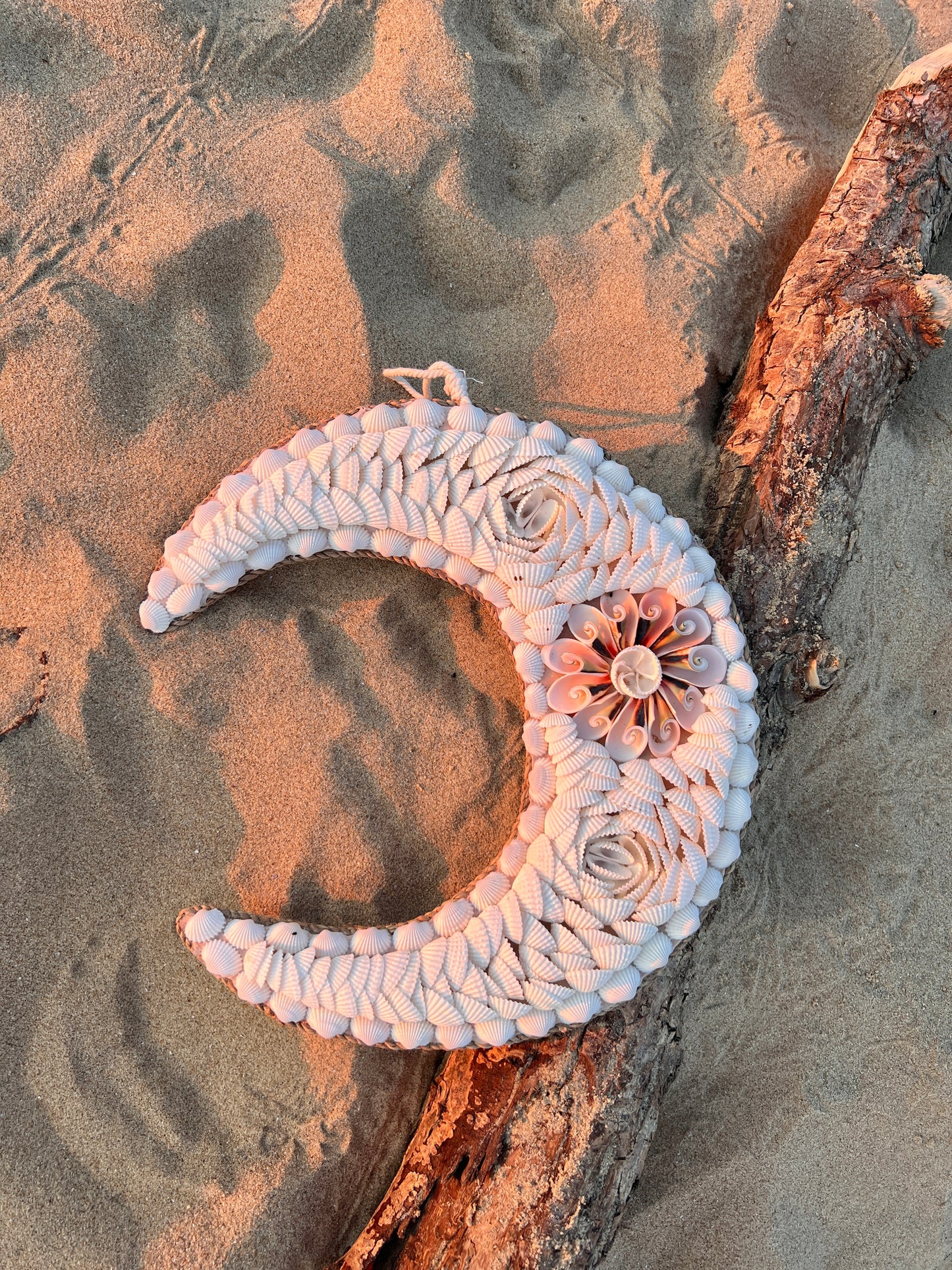 Lune en coquillage