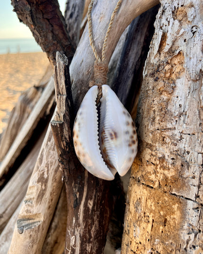 Suspension Cauris - Cypraea Tigris