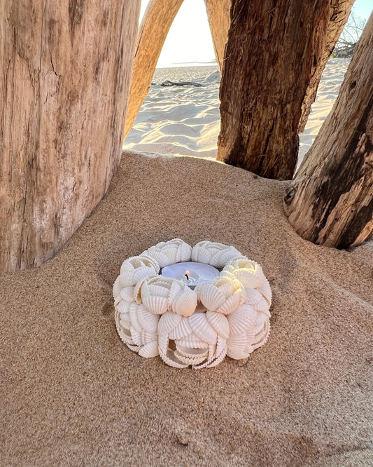 Photophore en coquillages