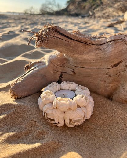 Photophore en coquillages